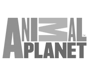 clientes-animal-planet
