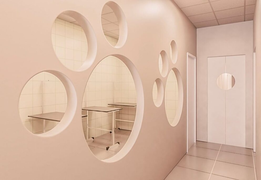 Clínica veterinária assinada por escritório de arquitetura