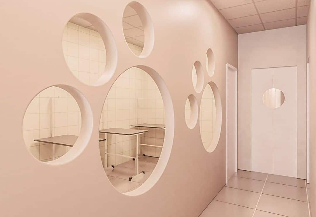 arquitetura-petshop-banho-e-tosa