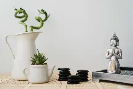 Feng Shui em ambientes comerciais