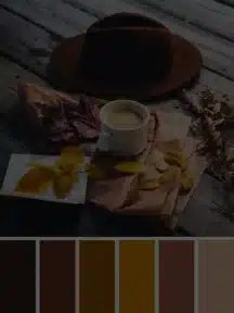 paleta-de-cores-com-marrom-web-stories_1