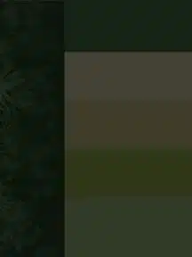 paleta-de-cores-verde-web-stories_1