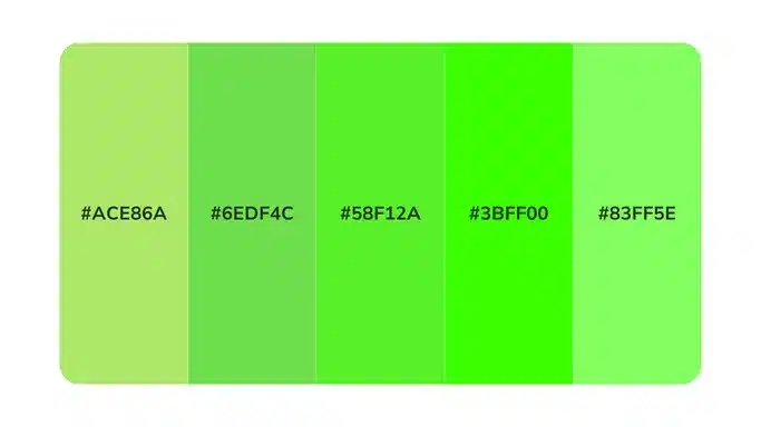 paleta-de-cores-verde_17