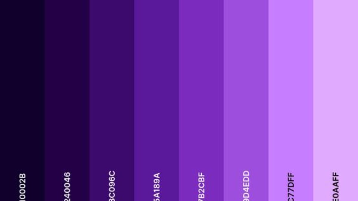 Rgb Roxo Paleta De Cores Roxa Paleta De Sombras Nuances 9 Cores Roxa Ludurana